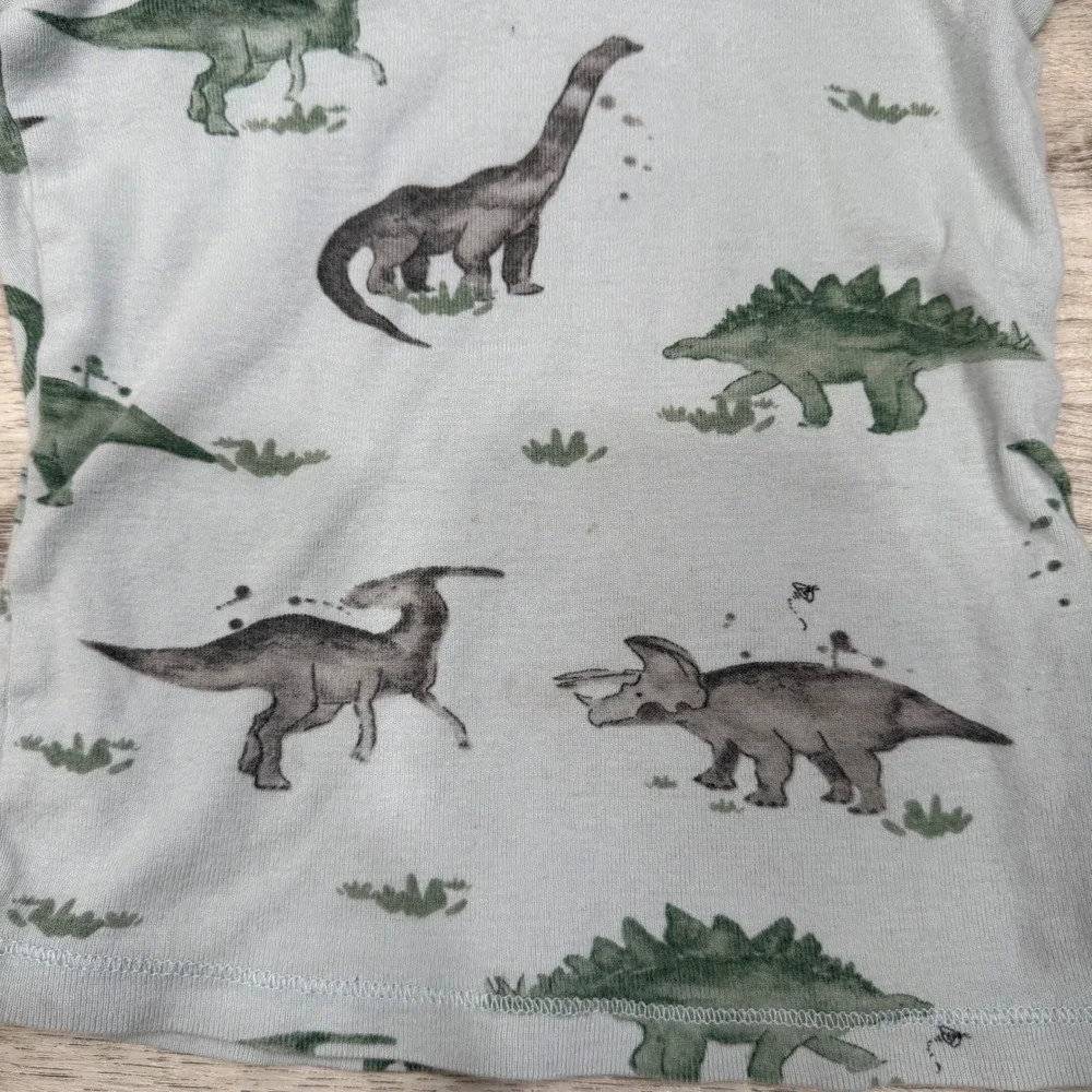 Burt's Bees Kids 2T Pajama Tops Set 2 Dinosaur Chevron Organic Cotton Blue Green